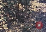 Image of Peleliu operation Peleliu Palau Islands, 1944, second 39 stock footage video 65675067114