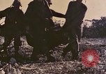 Image of Peleliu operation Peleliu Palau Islands, 1944, second 43 stock footage video 65675067115