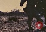 Image of Peleliu operation Peleliu Palau Islands, 1944, second 46 stock footage video 65675067115