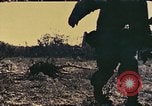 Image of Peleliu operation Peleliu Palau Islands, 1944, second 48 stock footage video 65675067115