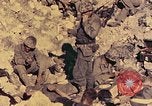 Image of Peleliu operation Peleliu Palau Islands, 1944, second 50 stock footage video 65675067115