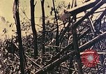 Standbild Peleliu Betrieb Peleliu Palau Inseln, 1944, aus Sekunde 3 historischem Filmmaterial Videoclip 65675067116