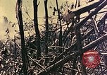 Standbild Peleliu Betrieb Peleliu Palau Inseln, 1944, aus Sekunde 4 historischem Filmmaterial Videoclip 65675067116