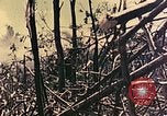 Standbild Peleliu Betrieb Peleliu Palau Inseln, 1944, aus Sekunde 5 historischem Filmmaterial Videoclip 65675067116