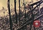 Standbild Peleliu Betrieb Peleliu Palau Inseln, 1944, aus Sekunde 7 historischem Filmmaterial Videoclip 65675067116
