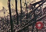 Standbild Peleliu Betrieb Peleliu Palau Inseln, 1944, aus Sekunde 8 historischem Filmmaterial Videoclip 65675067116