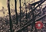 Standbild Peleliu Betrieb Peleliu Palau Inseln, 1944, aus Sekunde 9 historischem Filmmaterial Videoclip 65675067116
