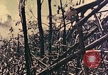 Standbild Peleliu Betrieb Peleliu Palau Inseln, 1944, aus Sekunde 10 historischem Filmmaterial Videoclip 65675067116