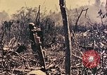 Standbild Peleliu Betrieb Peleliu Palau Inseln, 1944, aus Sekunde 17 historischem Filmmaterial Videoclip 65675067116