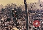 Standbild Peleliu Betrieb Peleliu Palau Inseln, 1944, aus Sekunde 18 historischem Filmmaterial Videoclip 65675067116