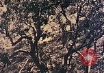 Standbild Peleliu Betrieb Peleliu Palau Inseln, 1944, aus Sekunde 26 historischem Filmmaterial Videoclip 65675067116