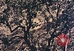 Standbild Peleliu Betrieb Peleliu Palau Inseln, 1944, aus Sekunde 27 historischem Filmmaterial Videoclip 65675067116