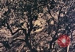 Standbild Peleliu Betrieb Peleliu Palau Inseln, 1944, aus Sekunde 28 historischem Filmmaterial Videoclip 65675067116