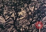 Standbild Peleliu Betrieb Peleliu Palau Inseln, 1944, aus Sekunde 30 historischem Filmmaterial Videoclip 65675067116