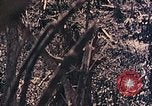 Standbild Peleliu Betrieb Peleliu Palau Inseln, 1944, aus Sekunde 31 historischem Filmmaterial Videoclip 65675067116