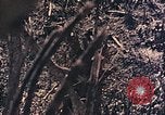 Standbild Peleliu Betrieb Peleliu Palau Inseln, 1944, aus Sekunde 32 historischem Filmmaterial Videoclip 65675067116