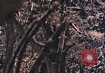 Standbild Peleliu Betrieb Peleliu Palau Inseln, 1944, aus Sekunde 34 historischem Filmmaterial Videoclip 65675067116