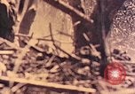 Standbild Peleliu Betrieb Peleliu Palau Inseln, 1944, aus Sekunde 37 historischem Filmmaterial Videoclip 65675067116