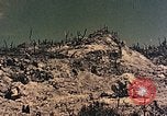 Standbild Peleliu Betrieb Peleliu Palau Inseln, 1944, aus Sekunde 39 historischem Filmmaterial Videoclip 65675067116