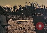 Standbild Peleliu Betrieb Peleliu Palau Inseln, 1944, aus Sekunde 48 historischem Filmmaterial Videoclip 65675067116