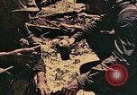 Standbild Peleliu Betrieb Peleliu Palau Inseln, 1944, aus Sekunde 58 historischem Filmmaterial Videoclip 65675067116