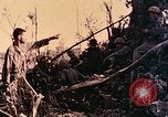 Standbild Peleliu Betrieb Peleliu Palau Inseln, 1944, aus Sekunde 14 historischem Filmmaterial Videoclip 65675067117