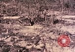 Standbild Peleliu Betrieb Peleliu Palau Inseln, 1944, aus Sekunde 43 historischem Filmmaterial Videoclip 65675067117