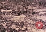 Standbild Peleliu Betrieb Peleliu Palau Inseln, 1944, aus Sekunde 44 historischem Filmmaterial Videoclip 65675067117