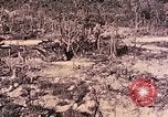 Standbild Peleliu Betrieb Peleliu Palau Inseln, 1944, aus Sekunde 46 historischem Filmmaterial Videoclip 65675067117
