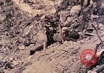 Standbild Peleliu Betrieb Peleliu Palau Inseln, 1944, aus Sekunde 50 historischem Filmmaterial Videoclip 65675067117