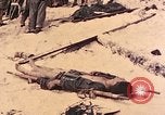 Immagine di Operazione di Peleliu Peleliu Isole Palau, 1944, secondo 25 filmato di repertorio 65675067118