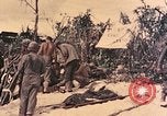 Immagine di Operazione di Peleliu Peleliu Isole Palau, 1944, secondo 29 filmato di repertorio 65675067118