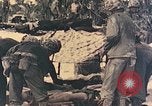 Immagine di Operazione di Peleliu Peleliu Isole Palau, 1944, secondo 31 filmato di repertorio 65675067118
