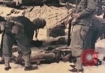 Immagine di Operazione di Peleliu Peleliu Isole Palau, 1944, secondo 32 filmato di repertorio 65675067118