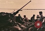Image of Peleliu operation Peleliu Palau Islands, 1944, second 12 stock footage video 65675067119