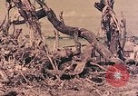 Image of Peleliu operation Peleliu Palau Islands, 1944, second 16 stock footage video 65675067120
