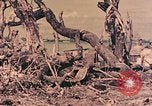 Image of Peleliu operation Peleliu Palau Islands, 1944, second 17 stock footage video 65675067120