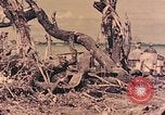 Image of Peleliu operation Peleliu Palau Islands, 1944, second 18 stock footage video 65675067120