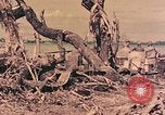 Image of Peleliu operation Peleliu Palau Islands, 1944, second 19 stock footage video 65675067120