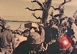 Image of Peleliu operation Peleliu Palau Islands, 1944, second 33 stock footage video 65675067120