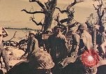 Image of Peleliu operation Peleliu Palau Islands, 1944, second 34 stock footage video 65675067120