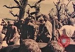 Image of Peleliu operation Peleliu Palau Islands, 1944, second 35 stock footage video 65675067120