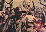 Image of Peleliu operation Peleliu Palau Islands, 1944, second 36 stock footage video 65675067120