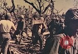 Image of Peleliu operation Peleliu Palau Islands, 1944, second 38 stock footage video 65675067120