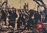 Image of Peleliu operation Peleliu Palau Islands, 1944, second 40 stock footage video 65675067120