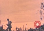 Standbild Peleliu Betrieb Peleliu Palau Inseln, 1944, aus Sekunde 37 historischem Filmmaterial Videoclip 65675067125
