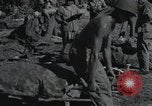 Standbild Invasion von Peleliu Peleliu Palau Inseln, 1944, aus Sekunde 3 historischem Filmmaterial Videoclip 65675067129
