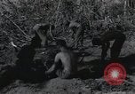 Standbild Invasion von Peleliu Peleliu Palau Inseln, 1944, aus Sekunde 17 historischem Filmmaterial Videoclip 65675067129