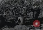 Standbild Invasion von Peleliu Peleliu Palau Inseln, 1944, aus Sekunde 18 historischem Filmmaterial Videoclip 65675067129