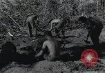 Standbild Invasion von Peleliu Peleliu Palau Inseln, 1944, aus Sekunde 19 historischem Filmmaterial Videoclip 65675067129